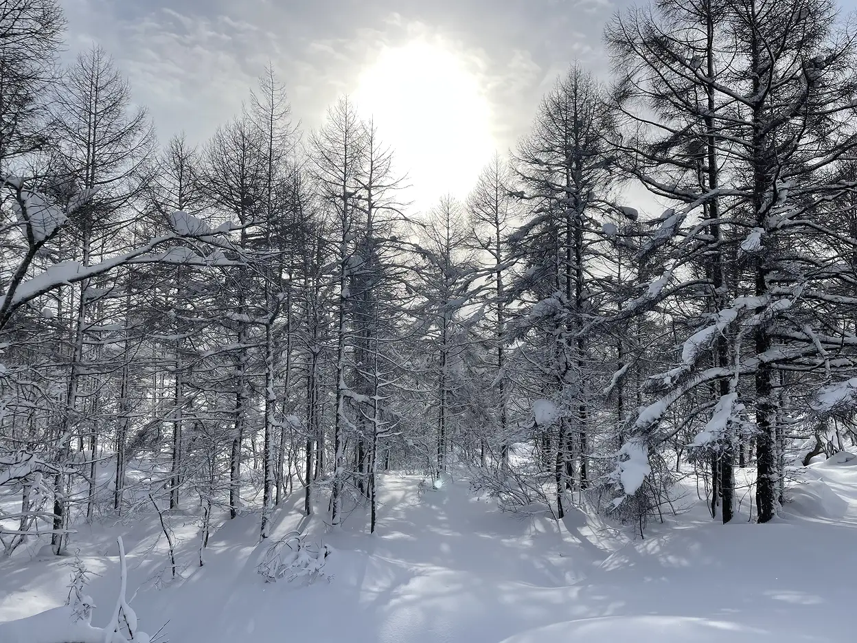 裏磐梯の冬の風景